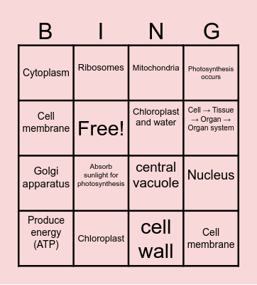 PLANT CELLS Bingo Card