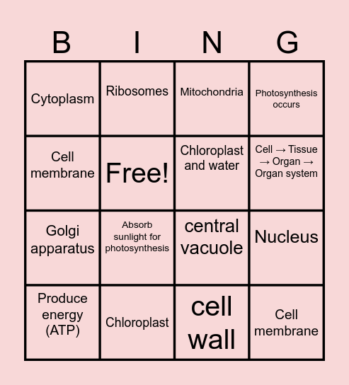 PLANT CELLS Bingo Card
