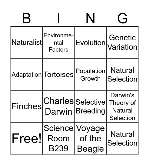 7th Grade Science Room B239 Bingo Card