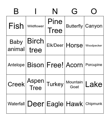Spearfish Canyon Bingo Card