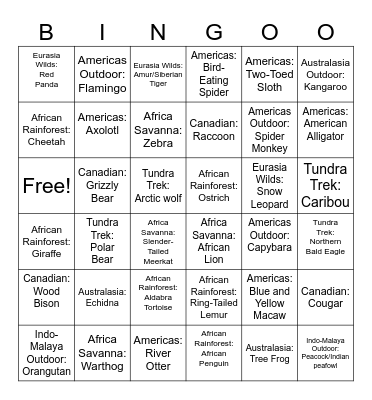 Zoo Animal Bingoo0 Bingo Card
