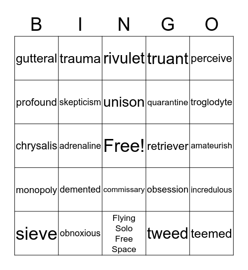 Flying Solo Vocabulary Bingo Card