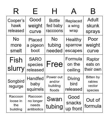 Wildlife Rehab Bingo Card