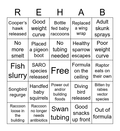Wildlife Rehab Bingo Card