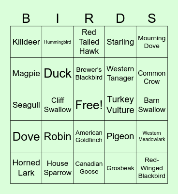 BIRDWATCHINGr Bingo Card