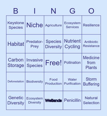 Biodiversity & Ecosystem Services Bingo Card