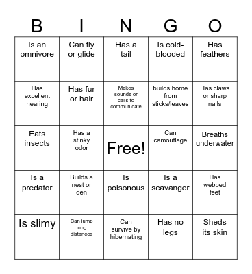 Find A Friend That... Bingo Card