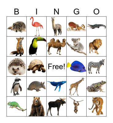 Wild Animals Bingo Card
