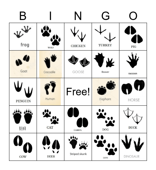 Animal Tracks Bingo Card