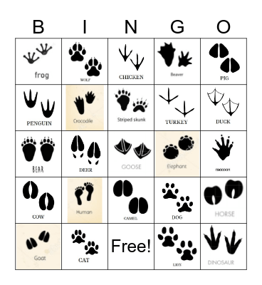 Animal Tracks Bingo Card