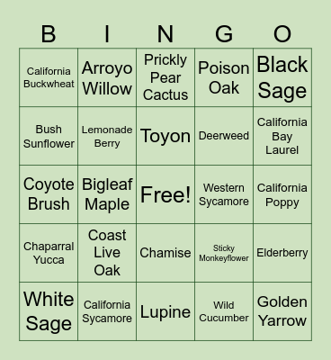 Native Plant Bingo Card