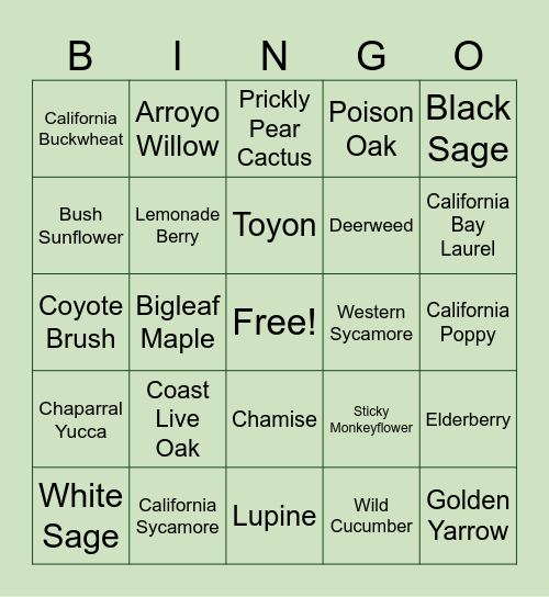 Native Plant Bingo Card