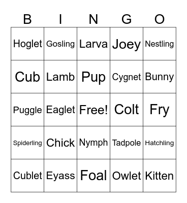Baby Animals Bingo Card
