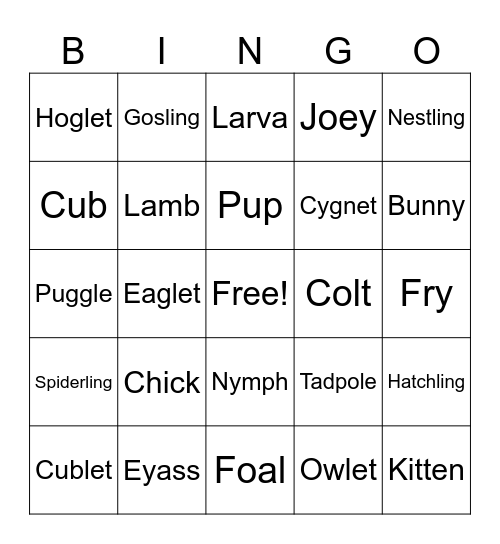 Baby Animals Bingo Card