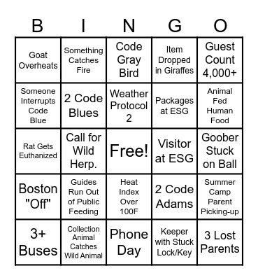 $5 Day Bingo Card