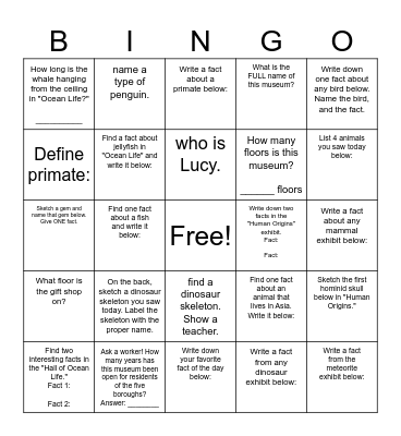 Museum of Natural History Bingo Card