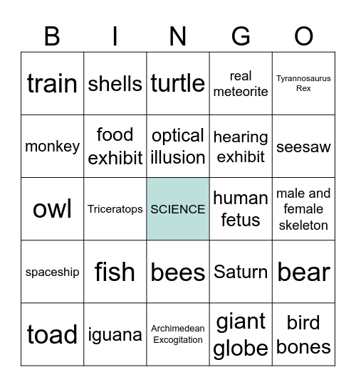 Museum of Science Bingo Card
