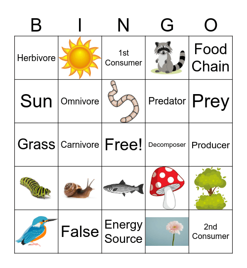 Food Web Bingo Card