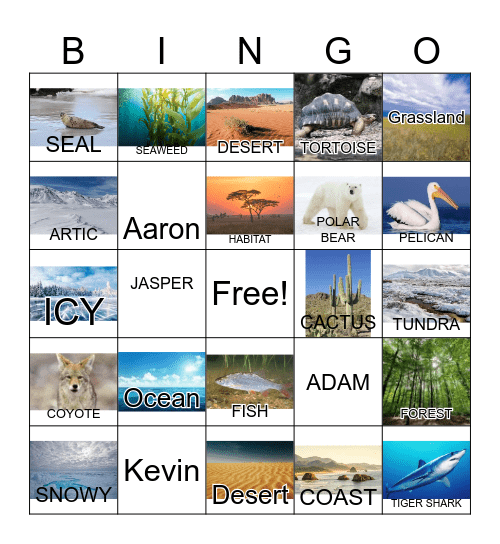 Animal Habitat Vocabulary and More Bingo Card