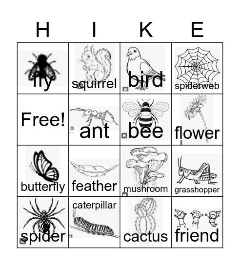 Watch for Wildlife Bingo Card
