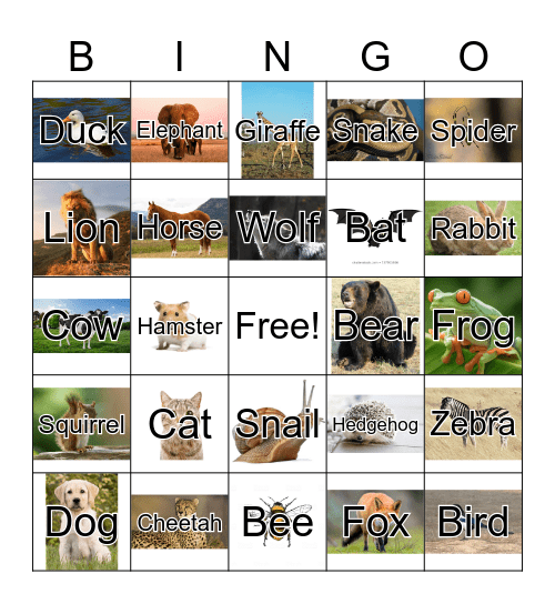 Animal Bingo Card