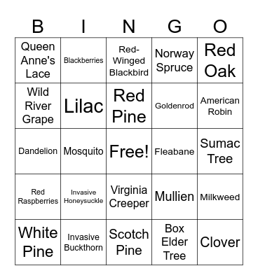 Summer Session Bingo Card