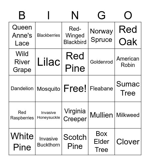 Summer Session Bingo Card