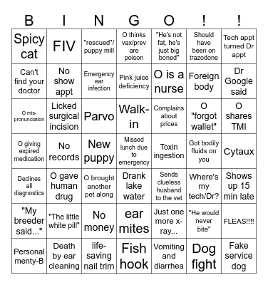 Lake Hills Vet Clinic Summer BINGO! Bingo Card