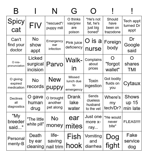 Lake Hills Vet Clinic Summer BINGO! Bingo Card