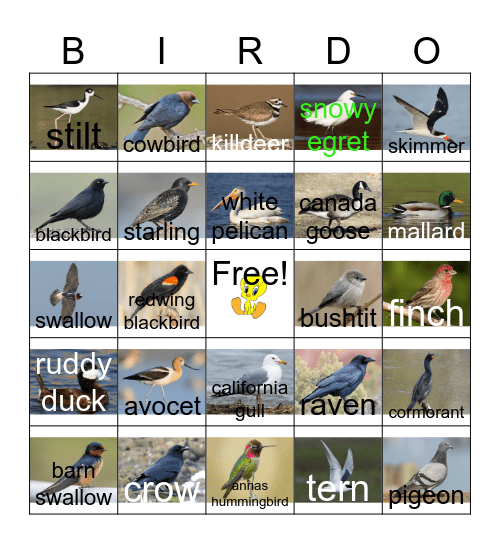 BIRDIE BINGO :D Bingo Card