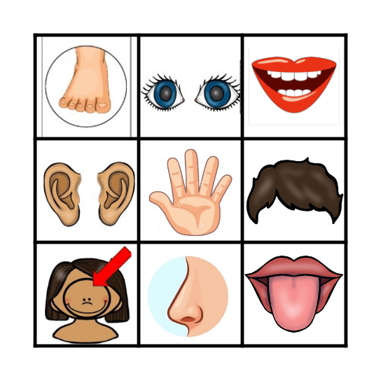 Parts of the Face Bingo Card
