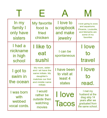 TEAM FUN FACTS Bingo Card