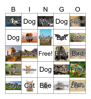Animal Bingo Card