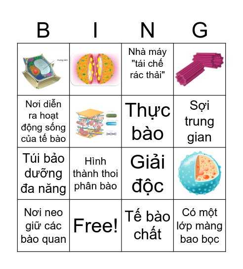 Bingo TẾ BÀO Bingo Card