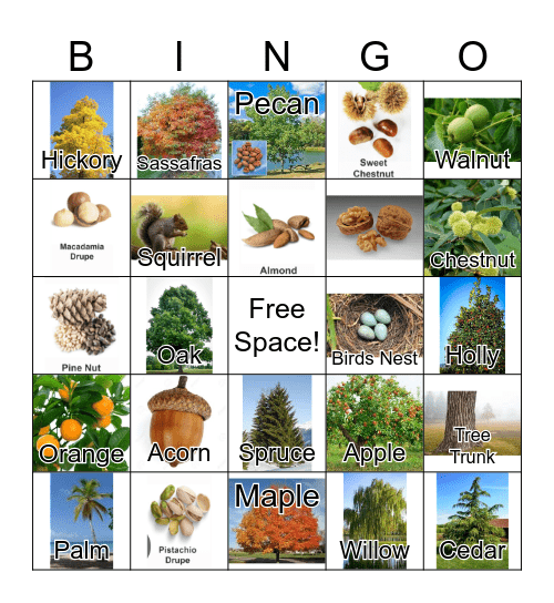 TREES Bingo Card