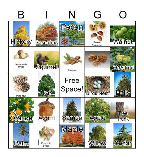 TREES Bingo Card