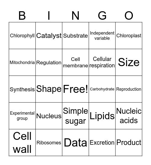 Biology Bingo Card