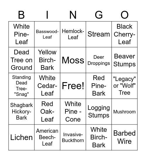 Forest Bingo Card