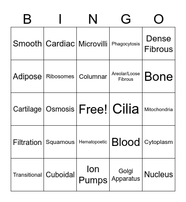 Tissue and Cells Bingo Card