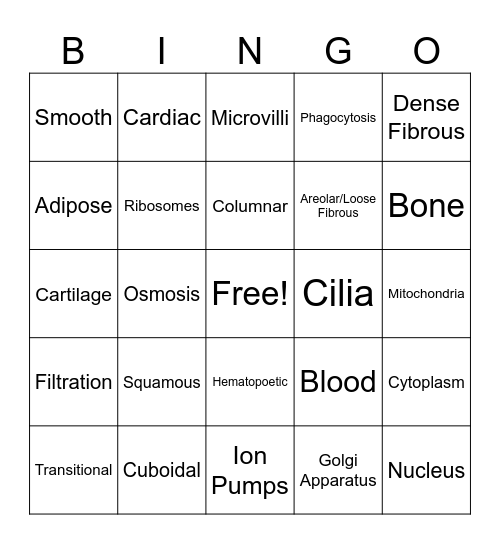 Tissue and Cells Bingo Card