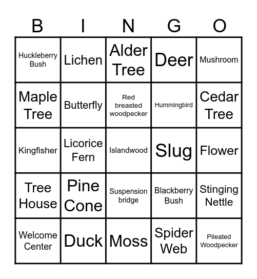 Forest Exploration Bingo Card