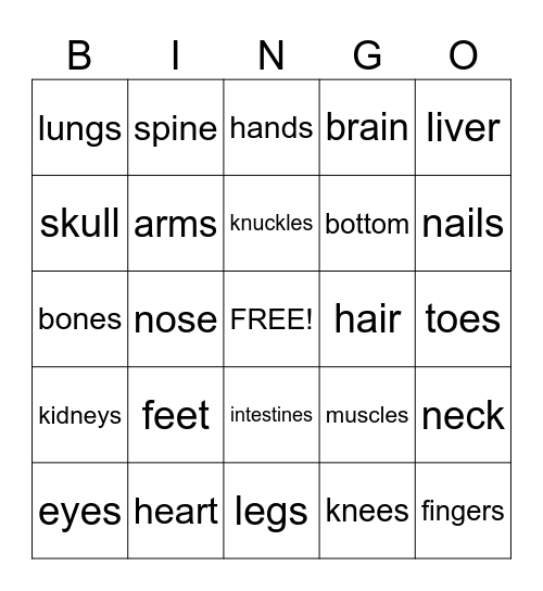 Body Parts Bingo Card