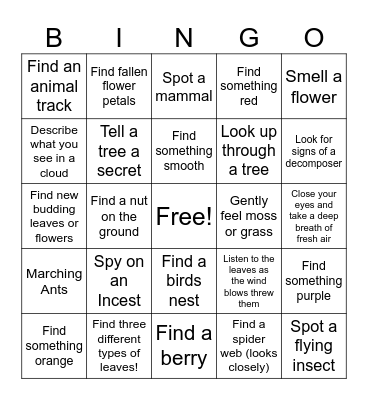 NATURE SCAVENGER HUNT Bingo Card