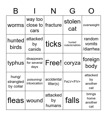 Outdoor cat bingo Card