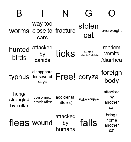 Outdoor cat bingo Card