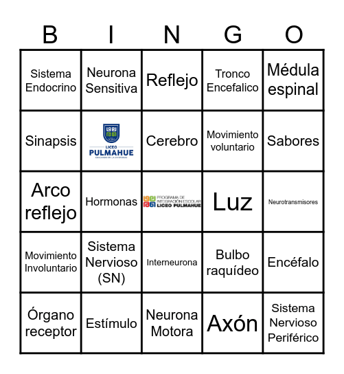 Bingo Biologico 2° Medio A Bingo Card