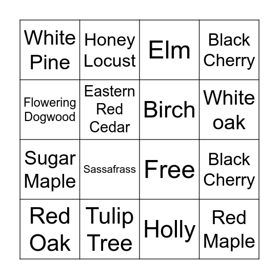Tree & Leaf ID Bingo Card