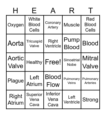 The Circulatory Story Bingo Card