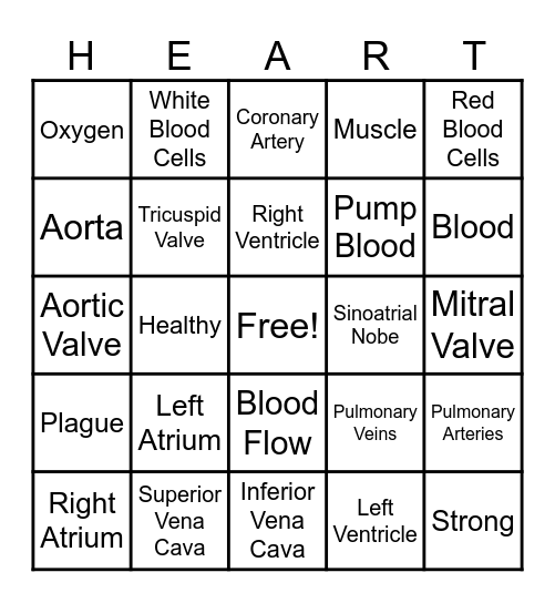 The Circulatory Story Bingo Card