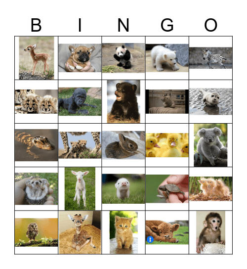 Baby Animals Bingo Card